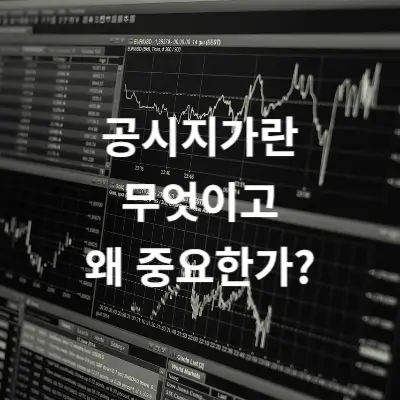 공시지가란 무엇이고 왜 중요한가? 개별공시지가와 실거래가의 차이점을 알아보자