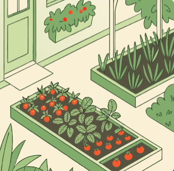 6월에 심는 밭작물 &amp;#124; 늦은 여름까지 수확하는 비법 1