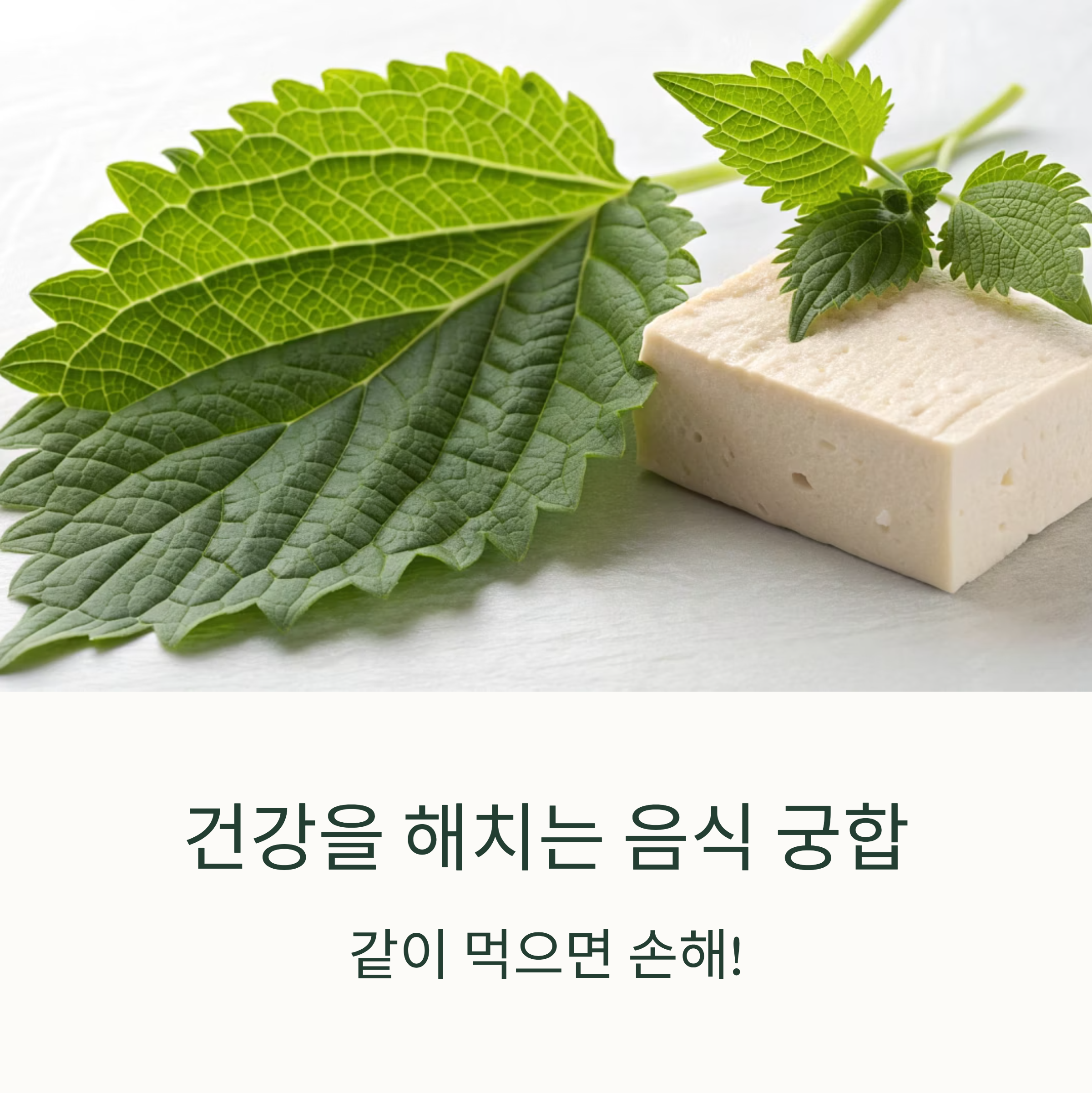 음식 궁합