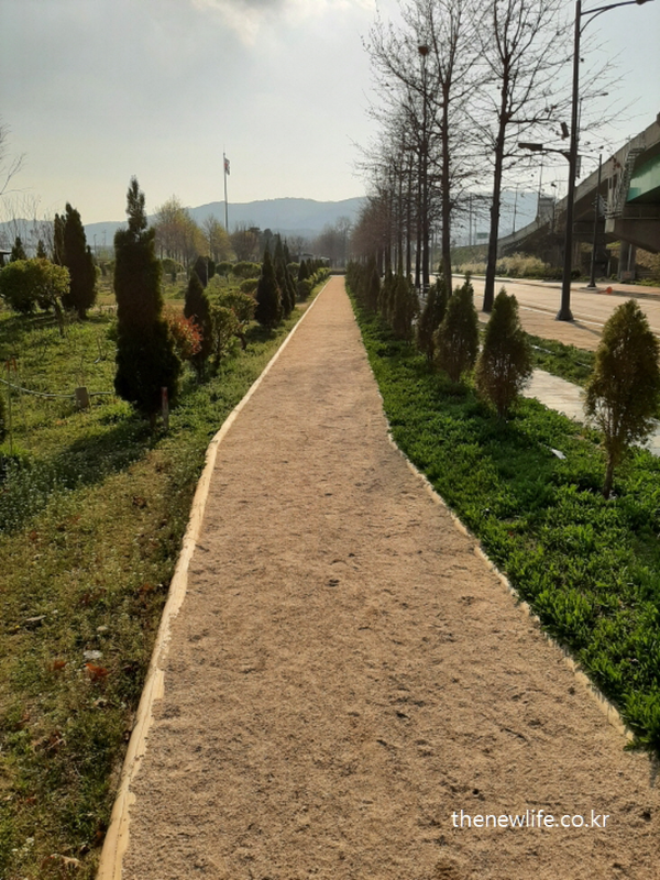Dedicated barefoot walking trail at Guri Hangang Citizens Park – a serene path for mindful walking and reconnecting with nature.-구리 한강시민공원 맨발 걷기 전용 흙길 – 자연과 연결되며 차분한 걷기를 즐길 수 있는 조용한 산책로