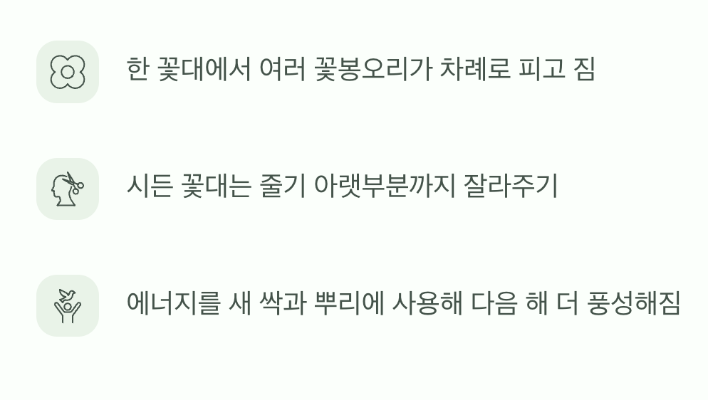 아낌없이 주는 꽃&amp;#44; 꽃대 관리