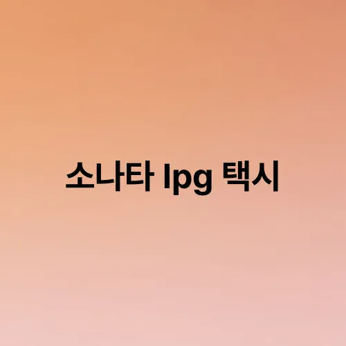 소나타 lpg 택시