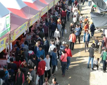 보은 대추축제_19