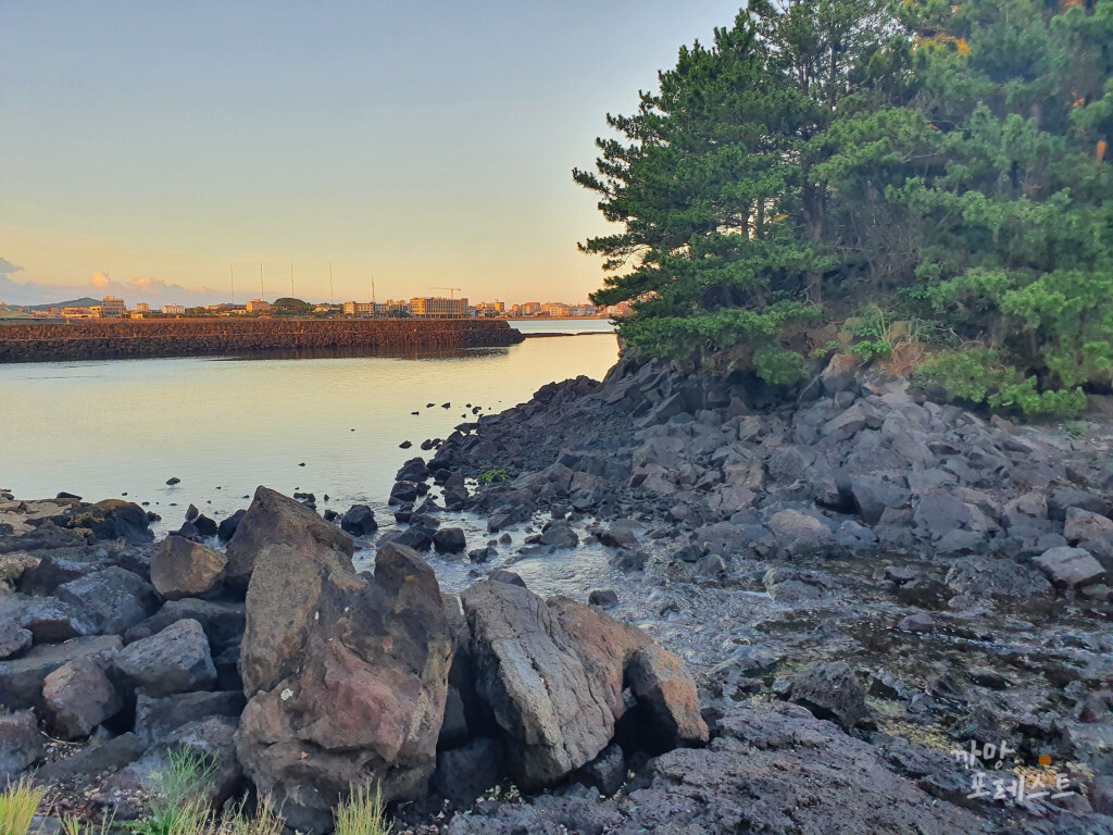 제주 오조포구 바다