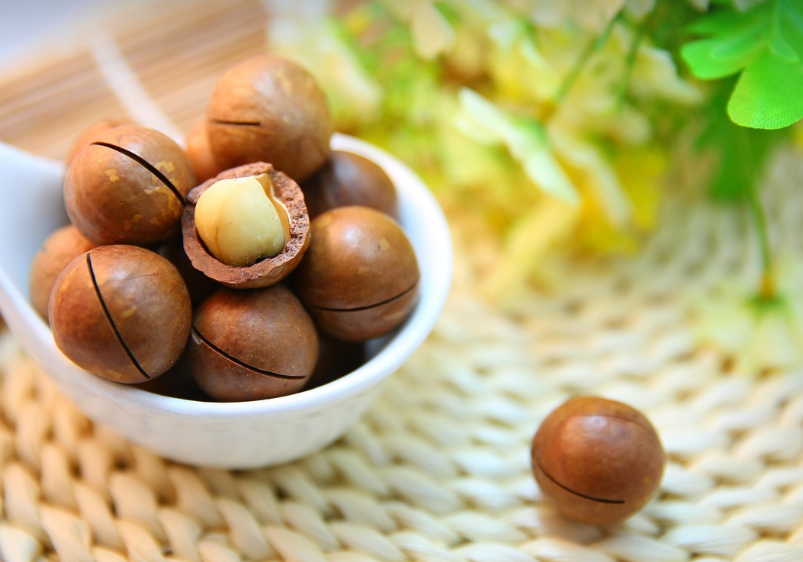 마카다미아너트의 모습