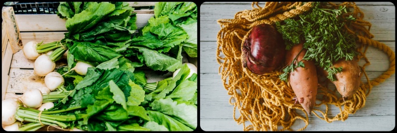 무와 고구마사진