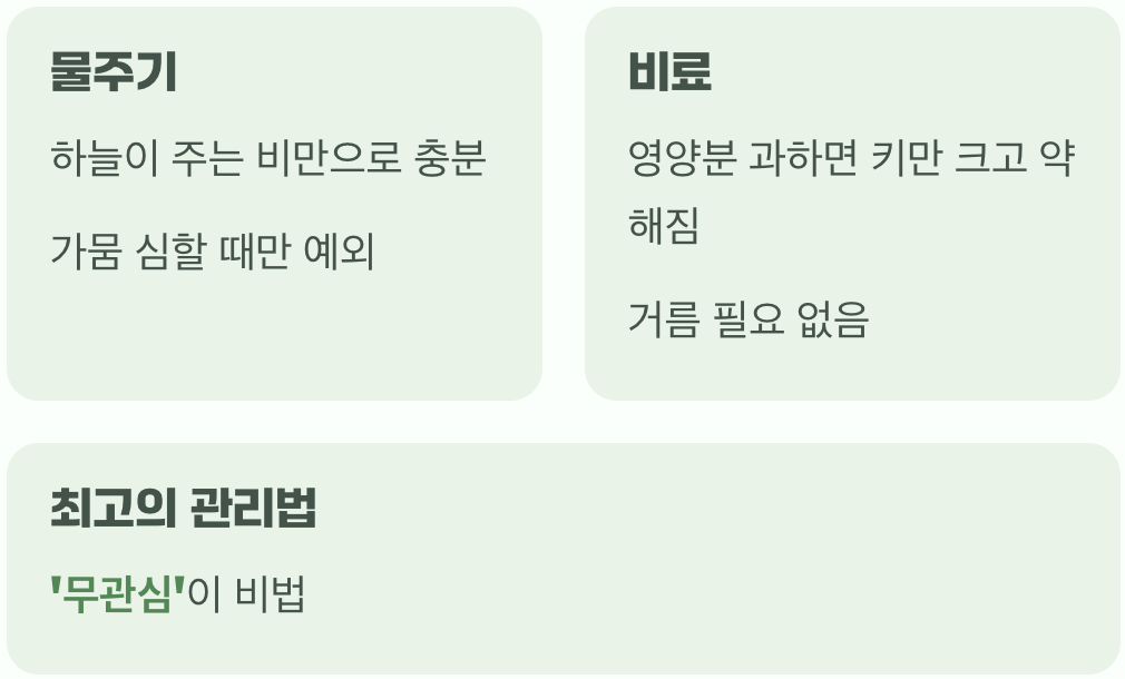 과한 사랑은 금물, 내버려 두는 미학