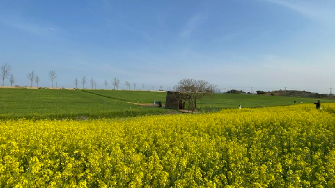 폭싹 속았수다 촬영지