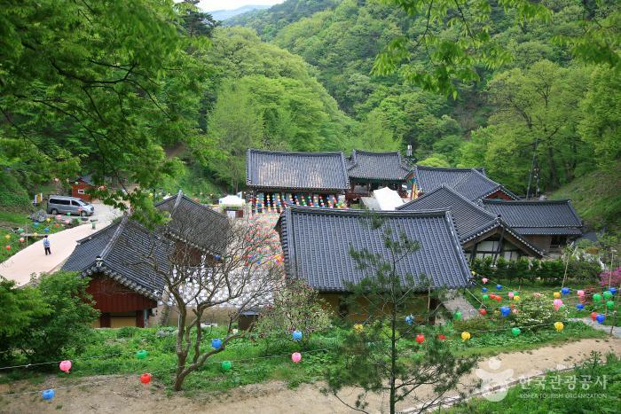 산 가운데 절이 있다.