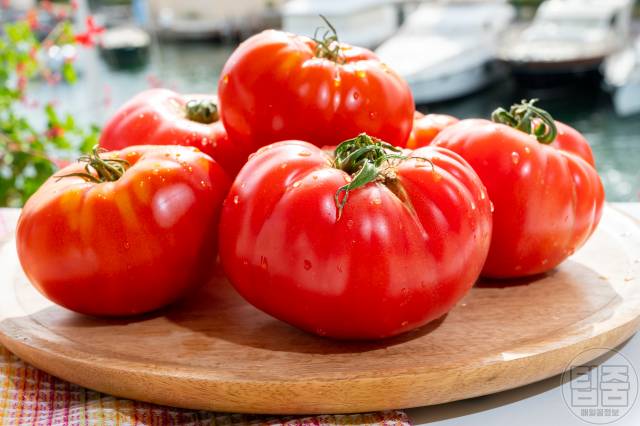 코막힘 뚫는법 코막힘에 좋은음식 토마토