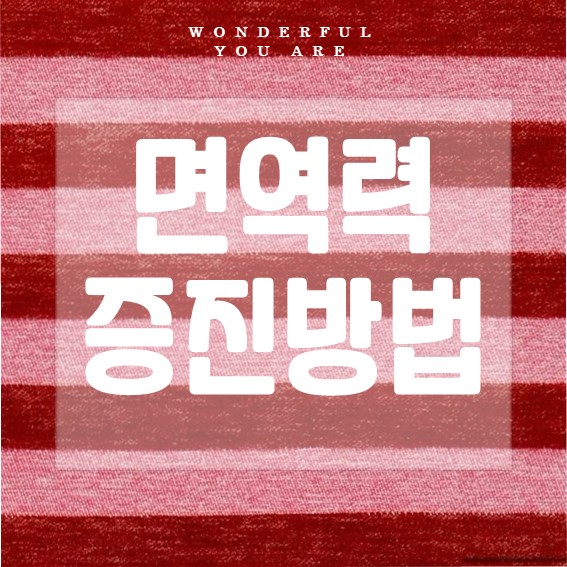 면역력 강화 비법: 건강을 위한 실용 가이드