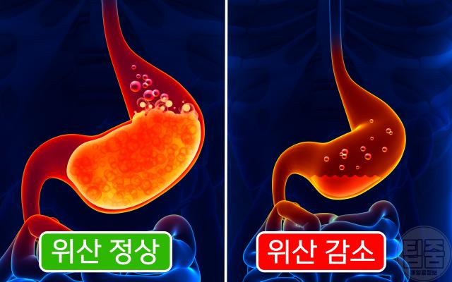 65세 시니어영양제 노인영양제 추천 비타민b12