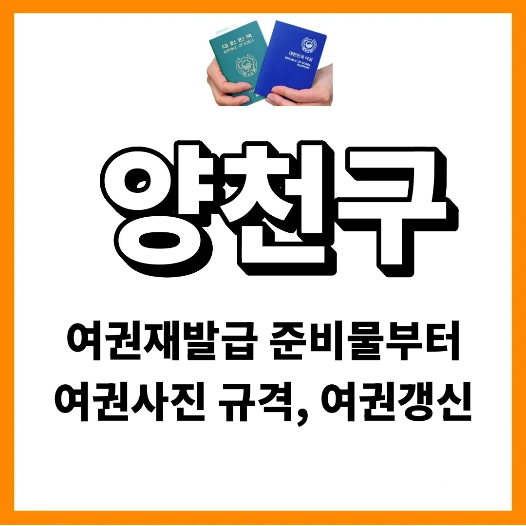 양천구청 여권, 사진 규격 하나 놓치면 재촬영 갑니다