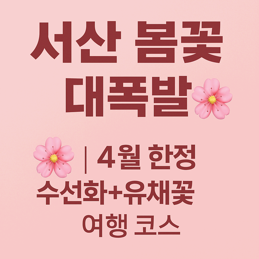 서산 봄꽃 여행, 수선화 명소