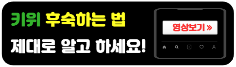 키위-후숙하는법