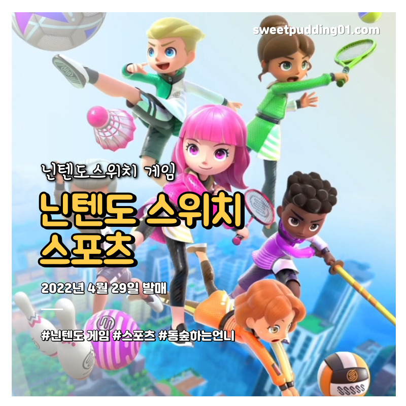 닌텐도 스위치 스포츠