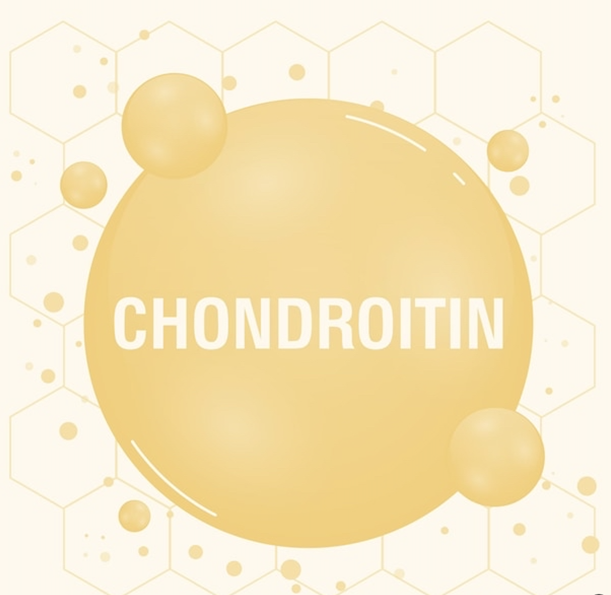 콘드로이친, 콘드로이틴 성분 DNA