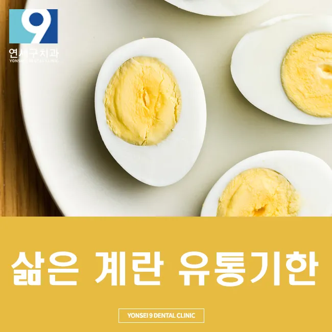 삶은 계란 보관법과 신선도 유지 비결_1