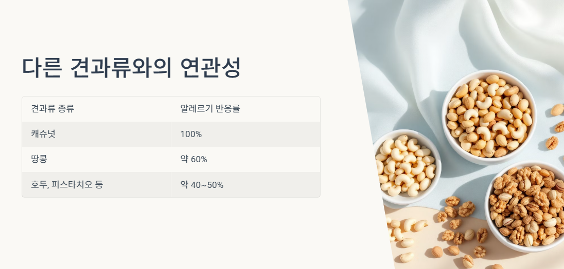 다른 견과류와의 연관성