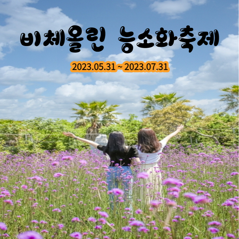 제주 비체올린 능소화축제