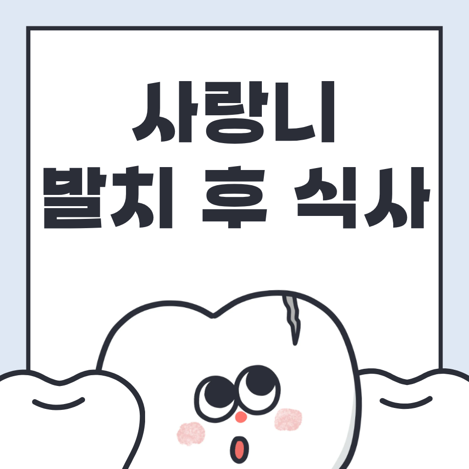 사랑니 발치 후 식사 가이드 – 회복을 빠르게 돕는 음식과 주의사항