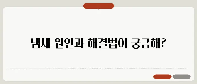 배꼽 냄새 나는 이유와 청결 유지 방법
