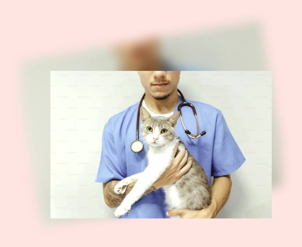 고양이 심장사상충 예방_1_subsection