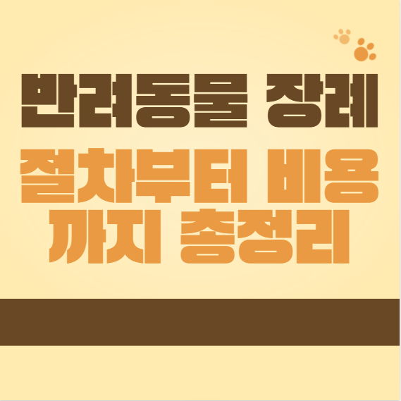 반려동물 장례, 어떻게 해야 할까? 절차부터 비용까지 총정리