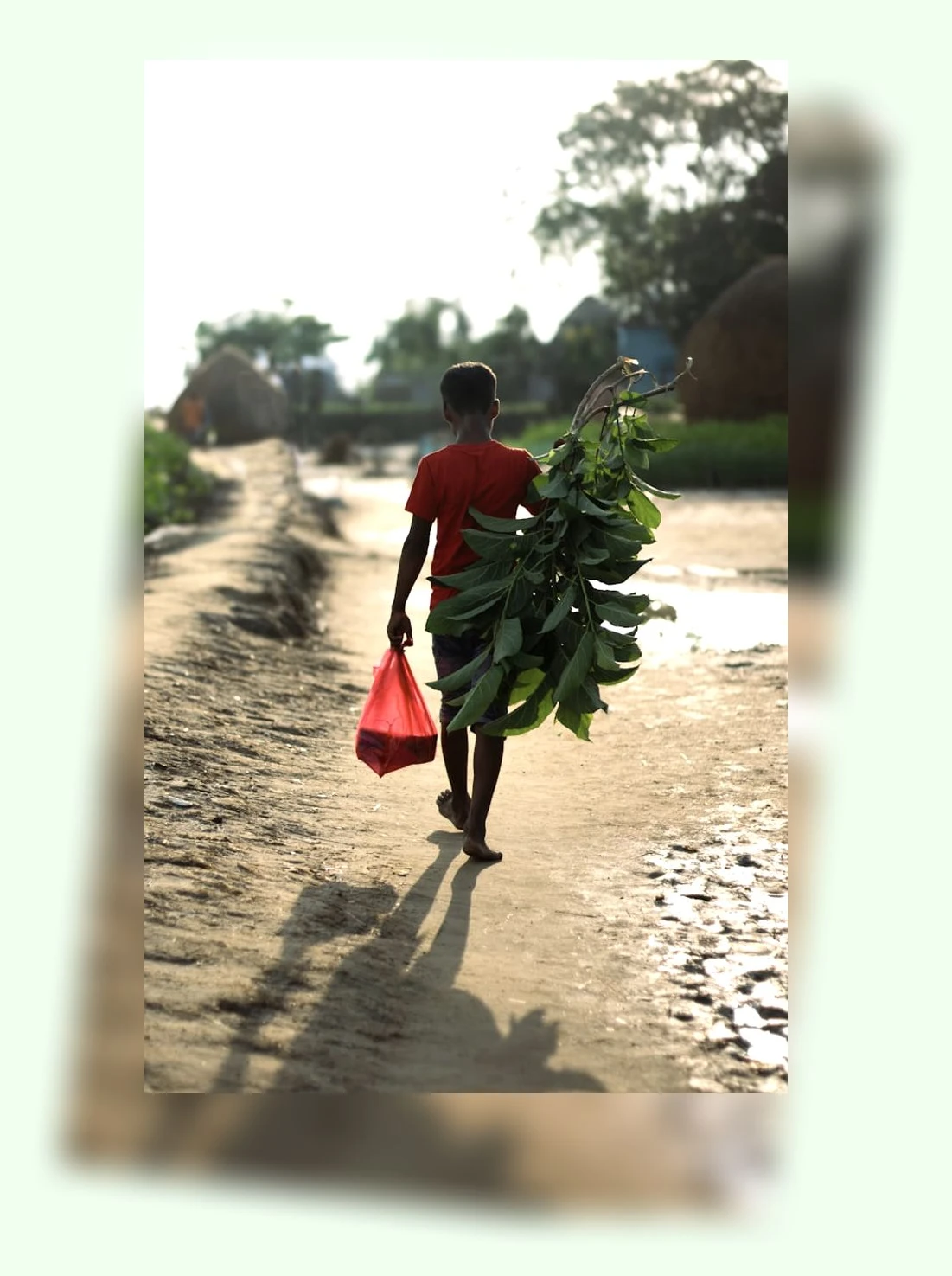 맨발걷기_2_subsection