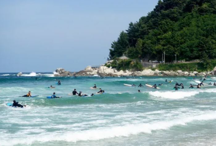 양양 죽도해수욕장 서핑레저특구