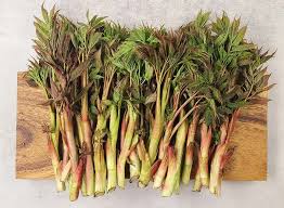 6시 내고향, 오늘 4월 14일 방송 눈개승마 효능과 먹는법 총정리