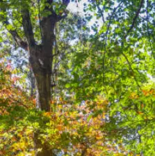 가을 단풍 구경 BEST 5 &mdash; 2025년 놓치면 아쉬울 국내 명소