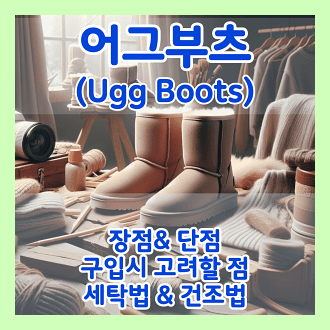 어그부츠 장점과 단점, 구입시 고려해야 할점 세탁법과 건조법
