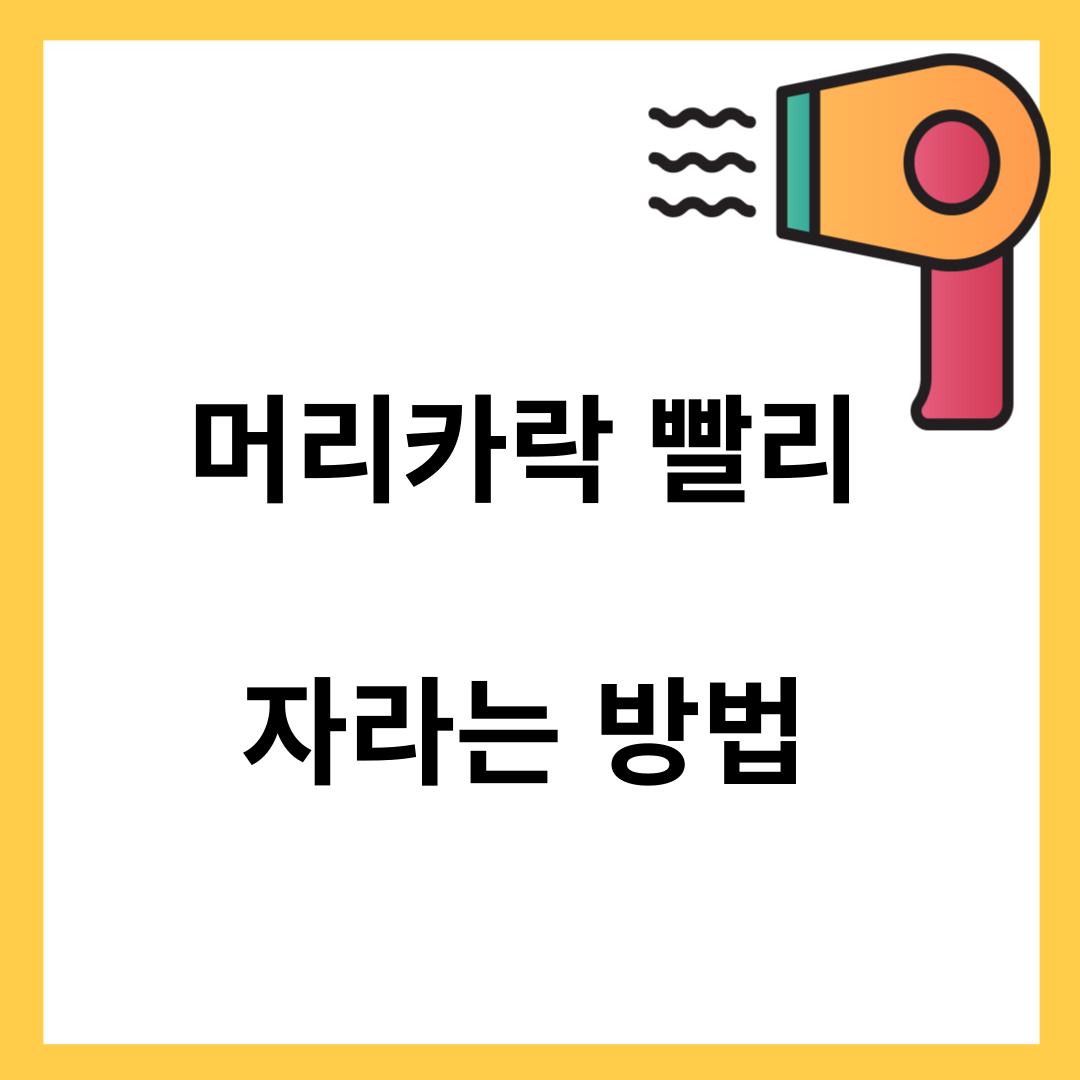 머리카락(모발) 빨리 자라는 방법- 모발 성장 속도, 모발 성장 촉진