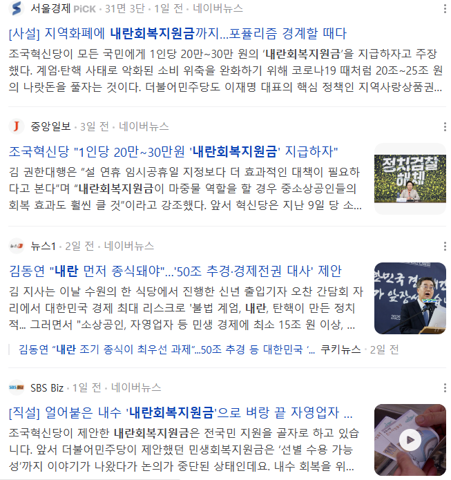 내란회복지원금