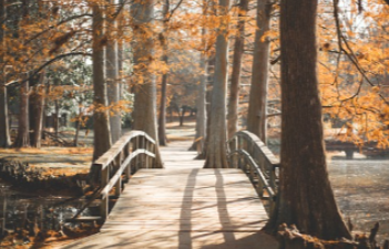 추석-숙박-할인쿠폰-받기