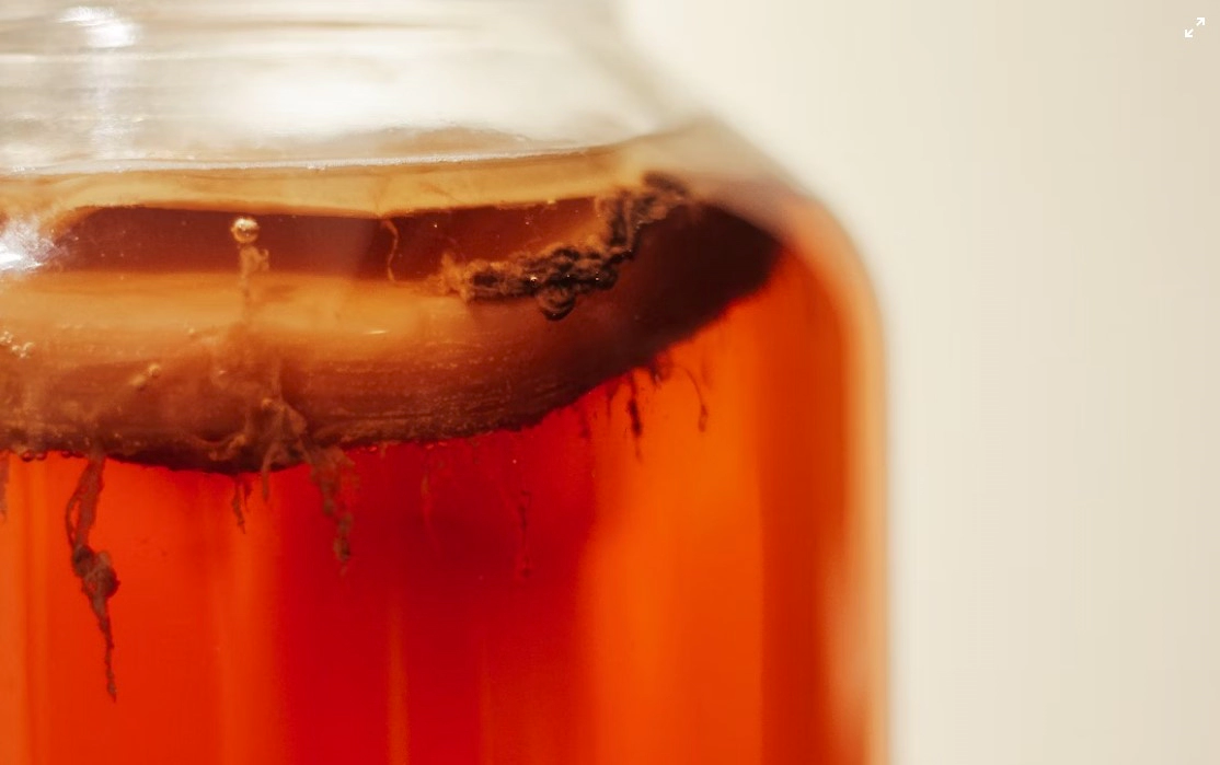 콤부차 효능 따뜻하게 마시는법 및 하루섭취량 정리