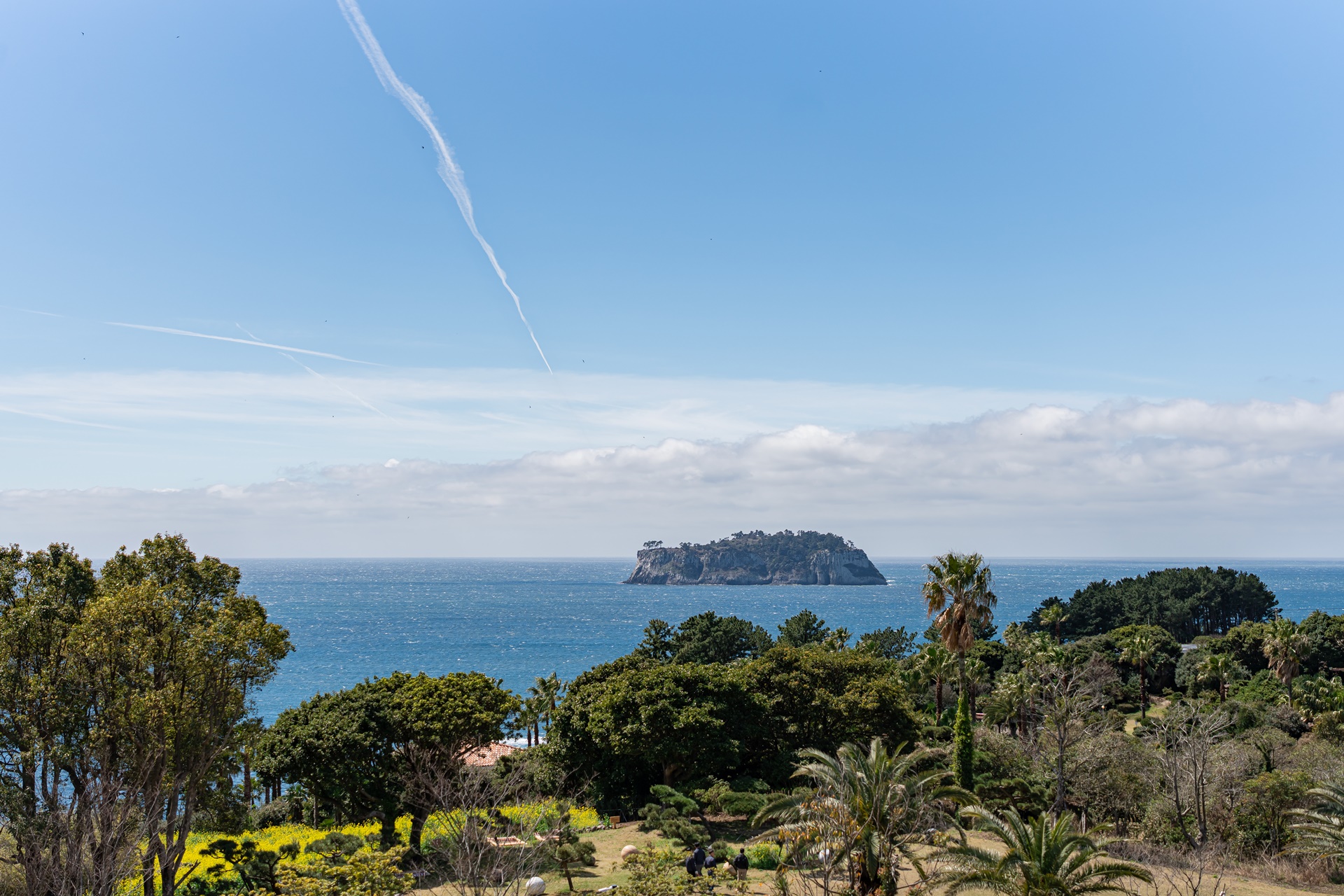 #JW가든 #JW메리어트제주 #댄싱두루미 #더플라잉호그 #아일랜드키친 #유채꽃 #제주사진 #제주여행 #제주유채꽃 #제주호텔