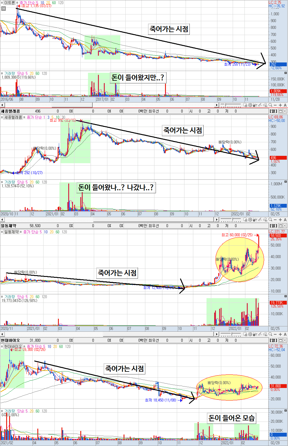 네 가지 종목의 비교 기준