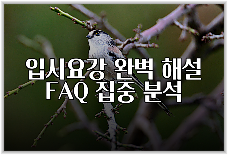 입시요강 완벽 해설 FAQ 집중 분석