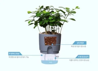 자동급수 화분 선택 물탱크관리 여행중건조 예방 쉬운 사용법_2
