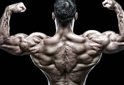 남성 호르몬 증가로 근육량이 높아진 모습