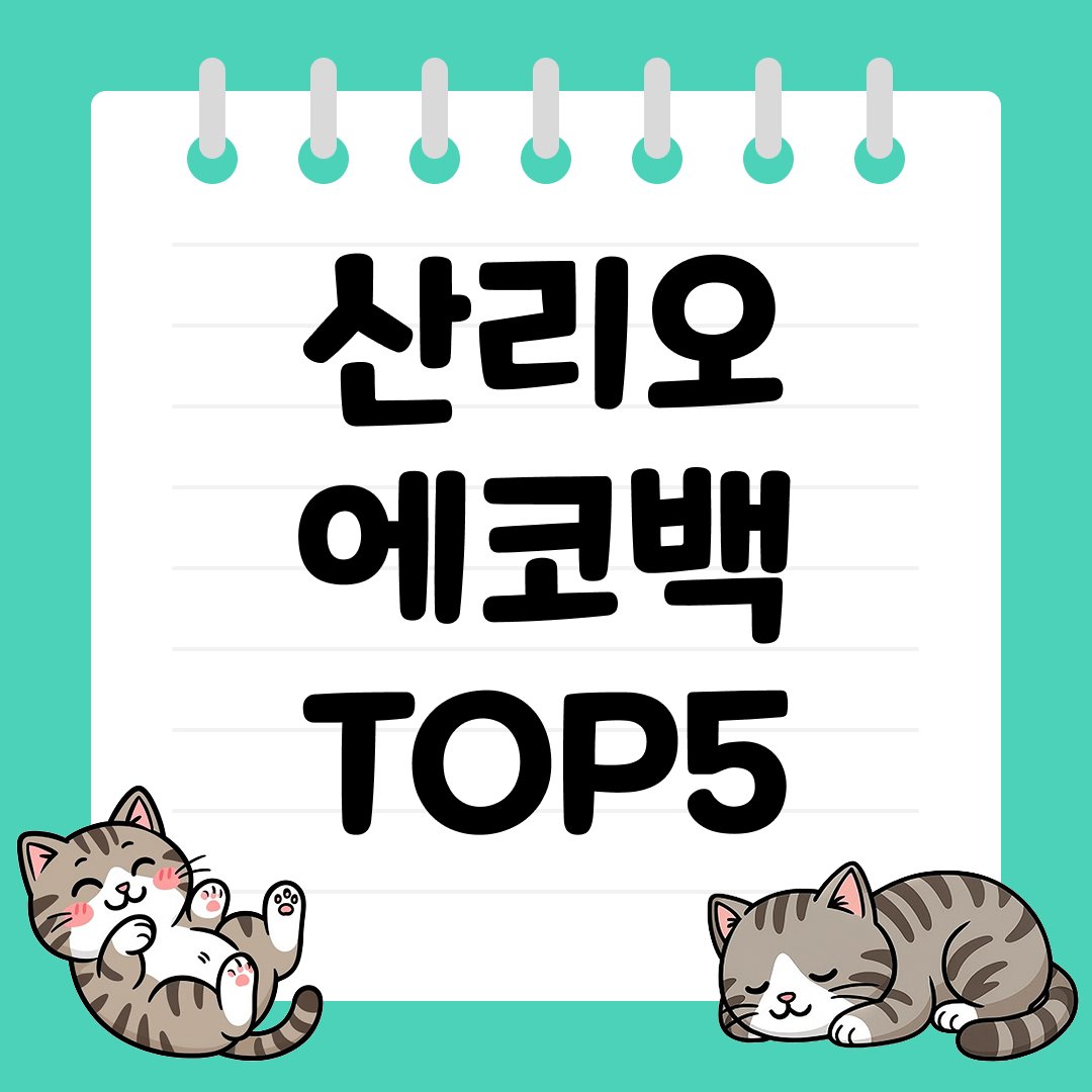 선물용으로도 좋은 산리오 굿즈 산리오 에코백 추천 순위 TOP5
