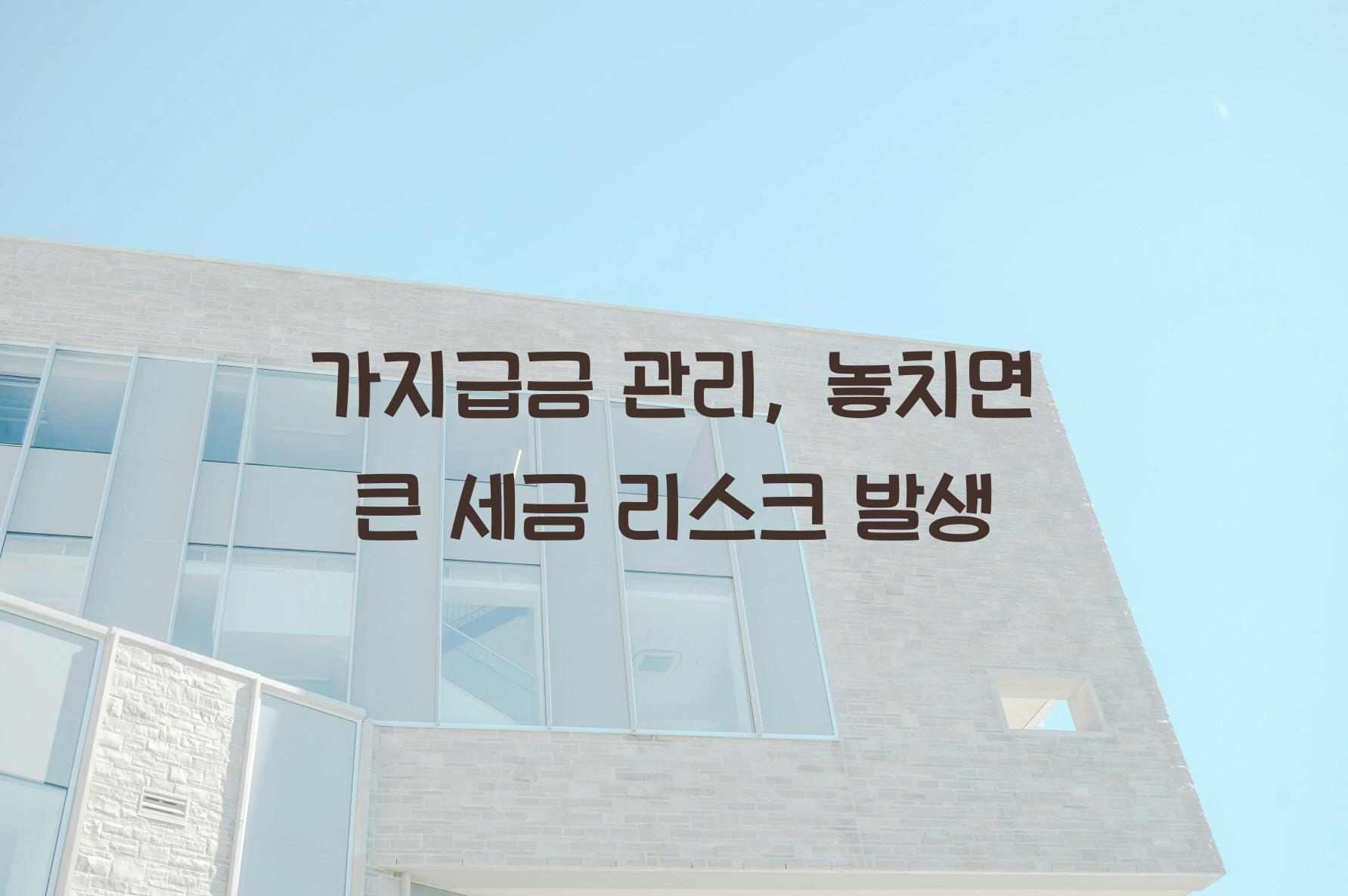 가지급금
