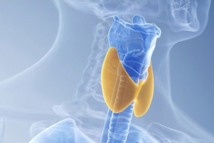 갑상선암 증상 2