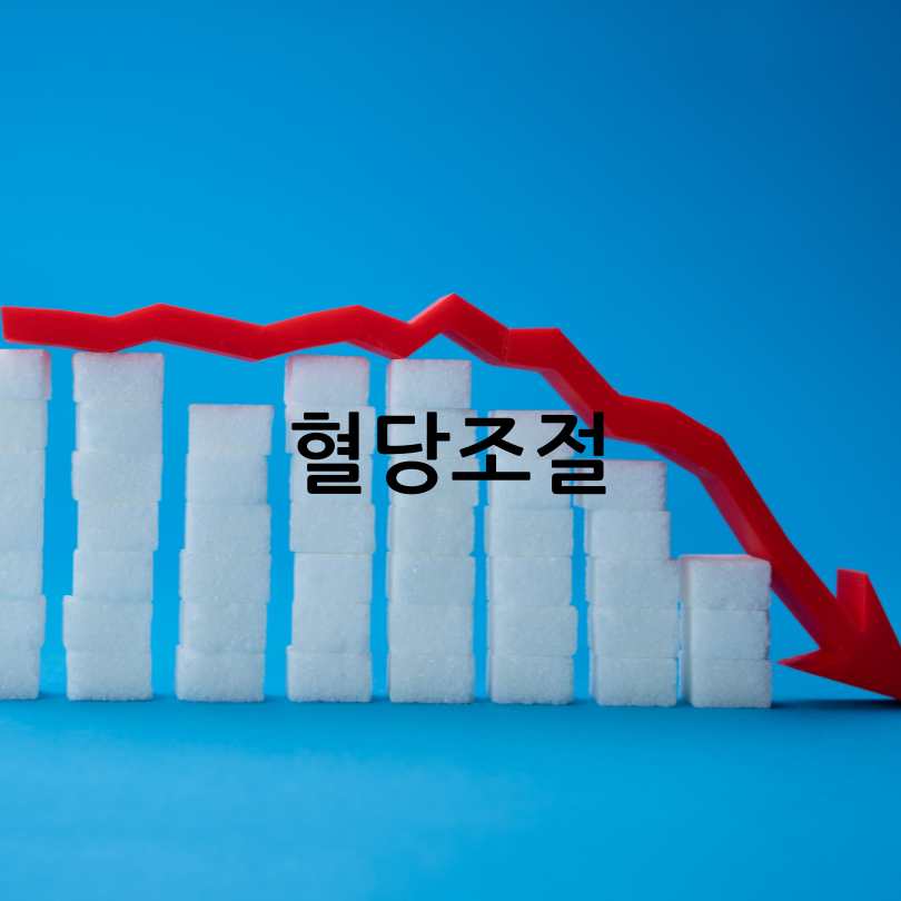 설탕 대신 대체당