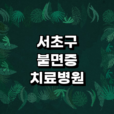 서울 서초구 불면증