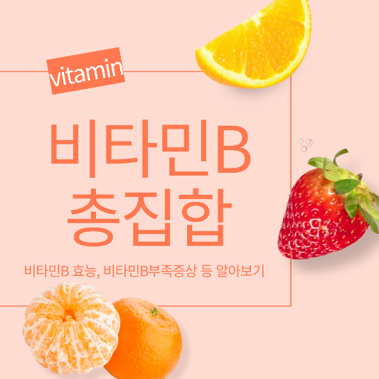 비타민B 효능 썸네일
