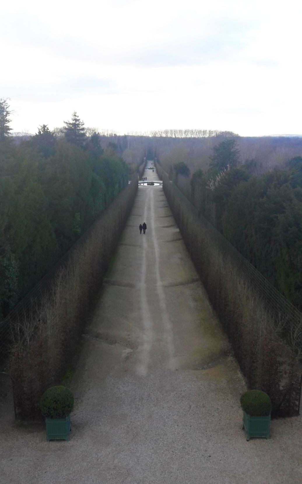 베르사유 정원의 각진 모습