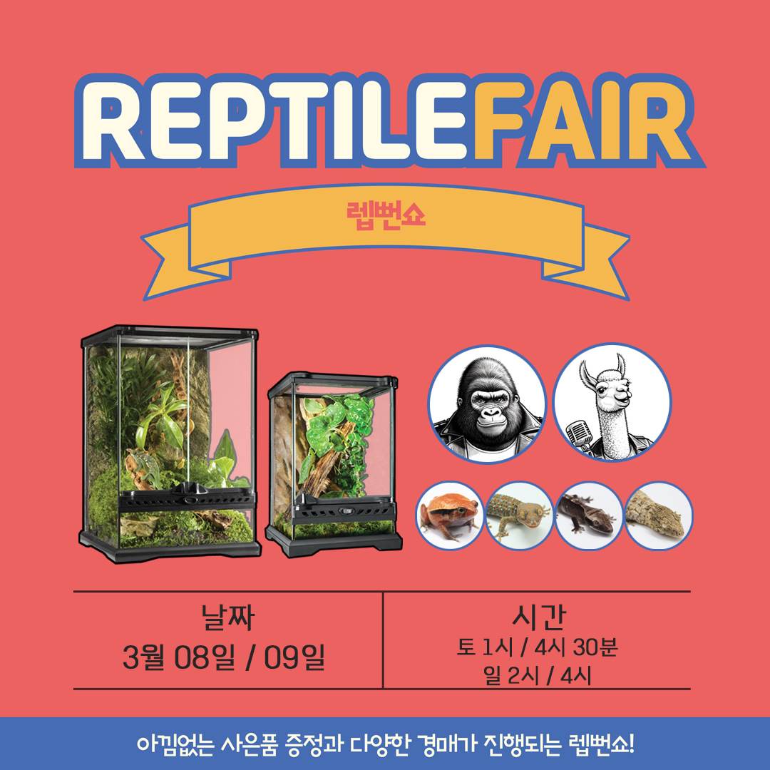 렙타일 페어 렙뻔쇼